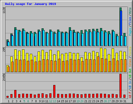 Daily usage for January 2019